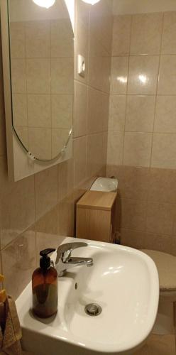 y baño con lavabo y espejo. en Szarvas Apartman, en Cserkeszőlő