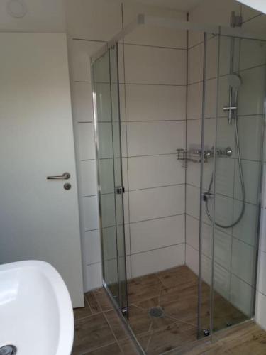 a bathroom with a shower with a glass door at Ferienwohnung - Mitten in Lauf - 2 Zimmer, große Küche in Lauf an der Pegnitz