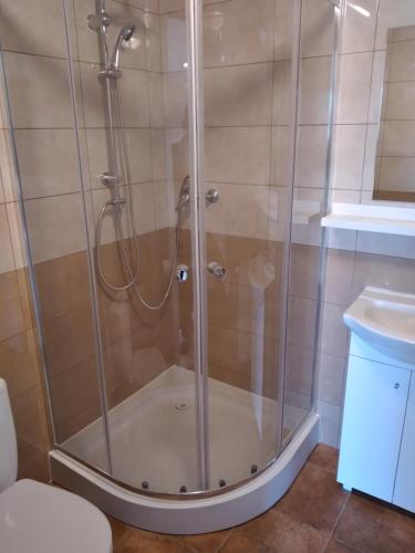 um chuveiro com uma porta de vidro na casa de banho em Noclegi w górach em Komarno