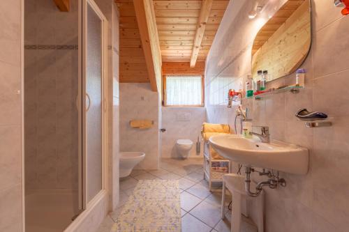 a bathroom with a sink and a shower and a toilet at Bad Bergfallerhof in Valdaora