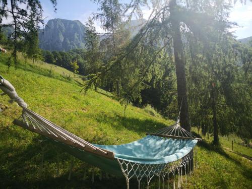 a hammock in a field with a mountain in the background at Mountain lodge Forte Emilia in Kobarid