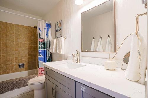 波爾斯波的住宿－Poulsbo Scandinavian Retreat 2 blocks to DT，一间带水槽、卫生间和镜子的浴室