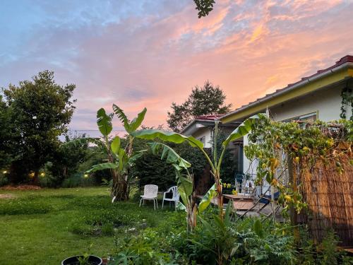 Κήπος έξω από το Guesthouse Papaya