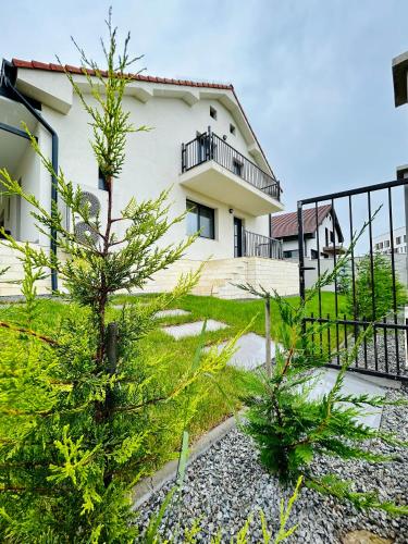 Taman di luar Hermes Guest House