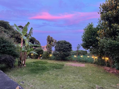 Κήπος έξω από το Guesthouse Papaya