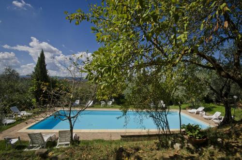 Bazén v ubytování Agriturismo Il Sambuco nebo v jeho okolí