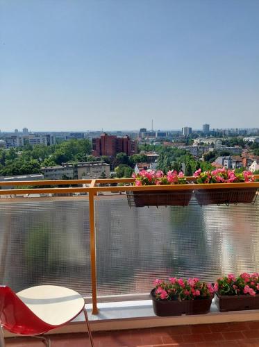 Premium studio apartment Antonio