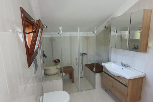 uma casa de banho com um chuveiro, um WC e um lavatório. em Villa Koral in Kirkpinar - Sapanca em Sapanca