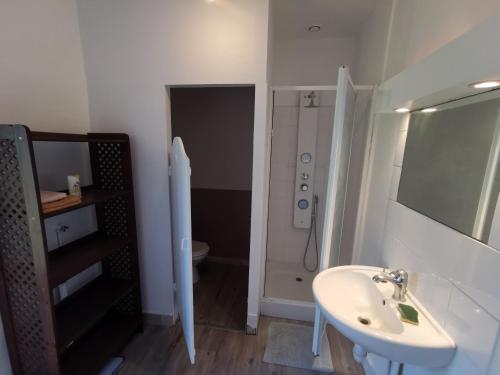 une salle de bain avec un lavabo, une douche et des toilettes dans l'établissement Gite en collocation le DIX, à Autry-le-Châtel