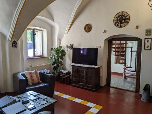 ein Wohnzimmer mit einem Sofa und einem TV in der Unterkunft Bed and Breakfast Tvrz in Velká Bukovina