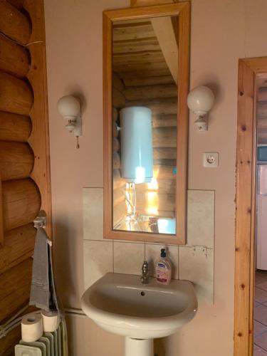 een badkamer met een wastafel en een spiegel bij Poilsis ant Virintų ežero kranto in Molėtai