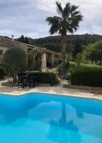 une piscine bleue avec une table et un palmier dans l'établissement Marie Jean Chambre d'hôtes & Gîte, à Oupia