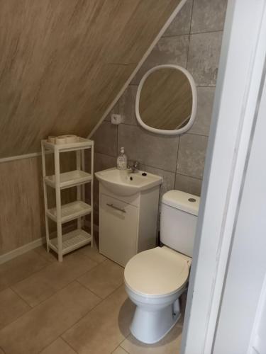 a bathroom with a toilet and a sink and a mirror at ZACISZE in Karłów