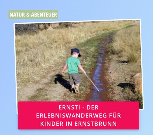 a young boy walking down a dirt road with a stick at Ruheoase Nähe Wien in Wetzleinsdorf