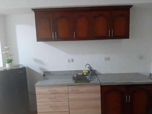 Cebu City Apple One Banawa Heights