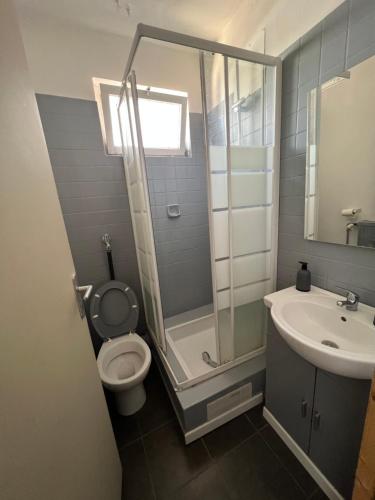 une salle de bain avec une douche, des toilettes et un lavabo dans l'établissement studio elis hypercentre, à Strasbourg