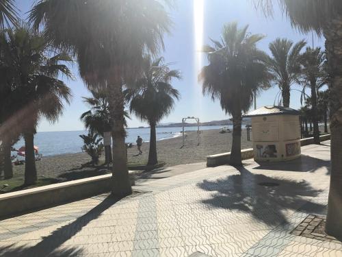 uma praia com palmeiras e um edifício na praia em Beachfront mar de plata em Algarrobo