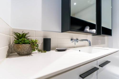 uma cozinha branca com um lavatório e um vaso de plantas em Modern 1 Bed Opposite Racecourse em Melbourne