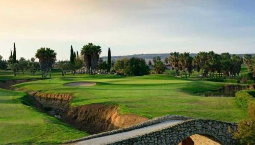 a golf course with palm trees and a green at Blue house 1ª linea playa in Torrevieja