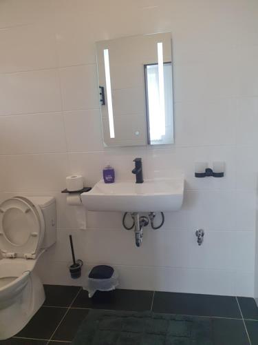 a bathroom with a toilet and a sink and a mirror at Pension Valentina in Mühlau