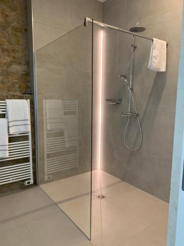 a shower with a glass door in a bathroom at Scheier (Ferienwohnungen) in Perl