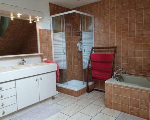 a bathroom with a shower and a tub and a sink at Maison en pierre au milieu du bocage in Coulouvray-Boisbenâtre