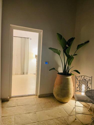 a potted plant sitting on the floor in a room at La Casa di Bacco B&b in Alezio