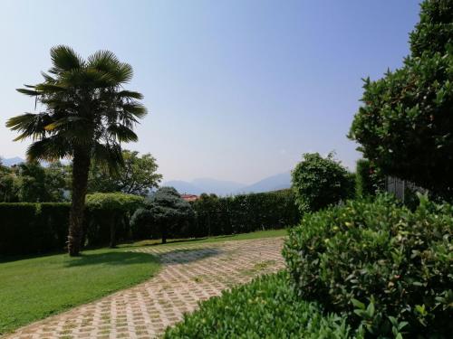 a palm tree and a path in a park at Affittacamere Mercedes in Romallo