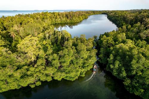 an aerial view of a river with trees and a boat at Leleana Resort Kolombangara in Kolombangara Island