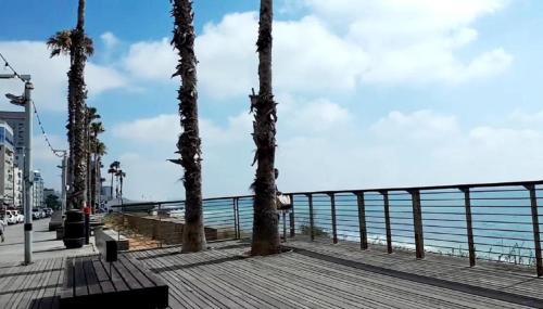 a boardwalk by the ocean with palm trees on it at Spat Beach in Bat Yam