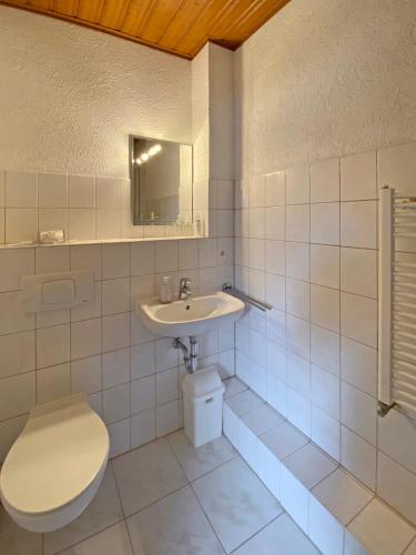 a bathroom with a toilet and a sink at RATAGS Kunsthandwerkerhaus in Langenwolmsdorf
