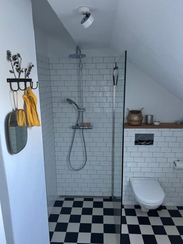 Ένα μπάνιο στο Ferienhaus Hengsbecke 24