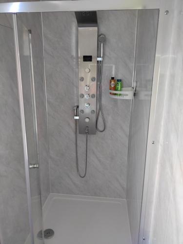 a shower in a bathroom with a glass door at Top Quality Modern Southsea Garden Apartment Sleeps 4 People in Portsmouth