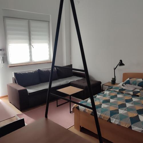 诺维萨德VIOLIN的带沙发和床的客厅