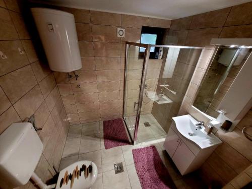 y baño con ducha, aseo y lavamanos. en Sobe - Palasthy, en Novi Bečej