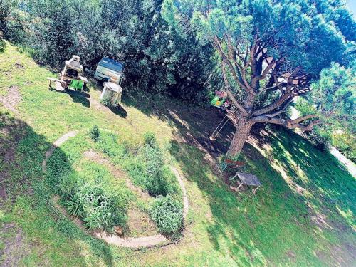 une vue aérienne sur un champ avec un arbre dans l'établissement Grand T3 Fréjus base nature, à Fréjus