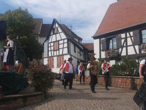 a group of people in costumes walking down a street at Le Kelsch, loft duplex 130m2, proche vignoble in Marlenheim