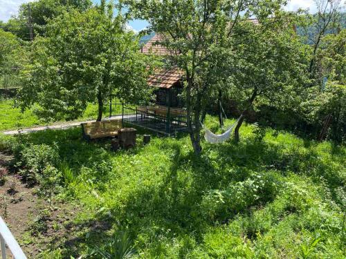 a park with two benches in a field with trees at Tamara B&B in Dsegh