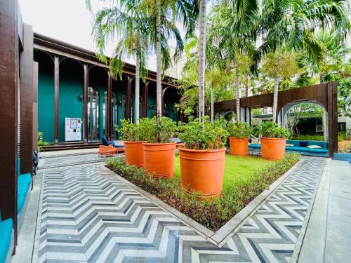 a row of plants in orange pots in a courtyard at Nara lahabana in Hua Hin