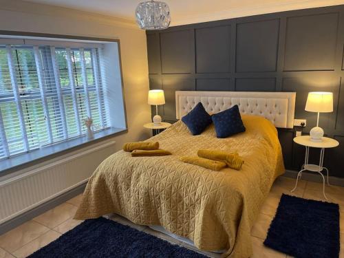 Un dormitorio con una cama con almohadas azules y una ventana en Spacious 1 bed bungalow located on a Gower Sheep Farm en Swansea