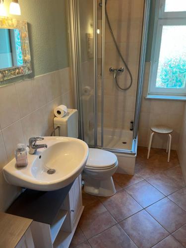 ein Bad mit einer Dusche, einem Waschbecken und einem WC in der Unterkunft Quartier am Nationalparkhaus in Bad Schandau