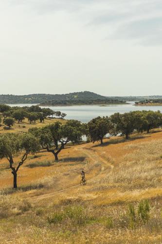 Φυσικό τοπίο κοντά σε αυτό το ξενοδοχείο