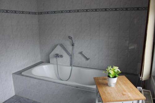 a bath tub with a shower in a bathroom at Ferienwohnung Drieling_ 85091 in Ostrhauderfehn