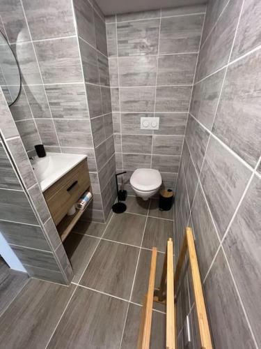 une salle de bain avec toilettes et lavabo dans l'établissement Appartement Montignac Lascaux, à Montignac