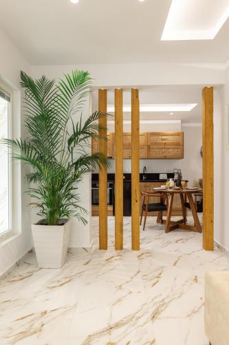 Olvos Suite
