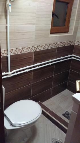 a bathroom with a toilet and a sink at Guest House Milena in Žabljak