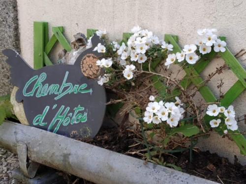a sign in a flower pot with white flowers at La Maison des Fleurs in Scrignac