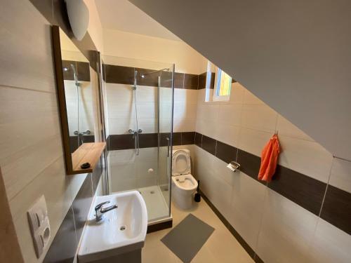 ein Bad mit einem Waschbecken und einem WC in der Unterkunft Apartmány Pod Vrchem Kytlice 71 in Kytlice