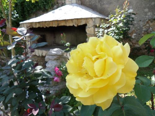 Κήπος έξω από το Holiday Home Iris