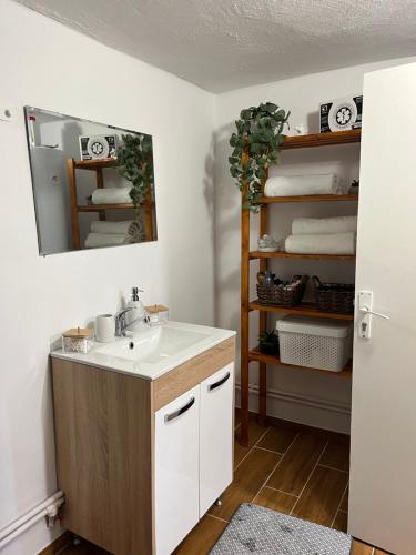 a bathroom with a sink and a mirror at Cosy wooden house in the heart of Apuseni. in Beliş